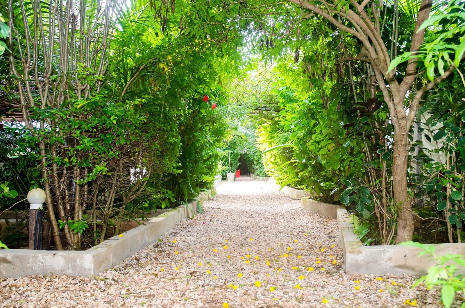 Shaded path through the landscaped gardens