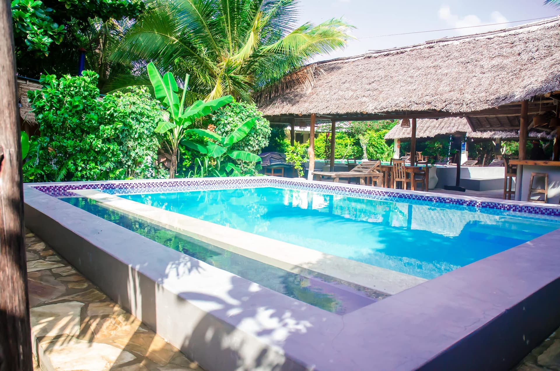 Swimming pool with a thatched bar and sun loungers at Shamba Village